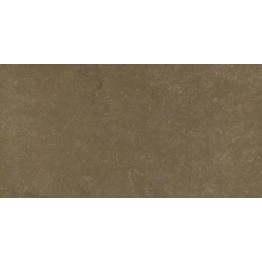 Gạch lát sàn Trường Thịnh MATT STONE GSB03